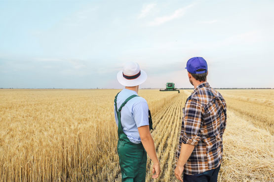 Quelle société agricole choisir ?